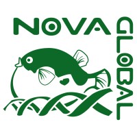 NovaGlobal